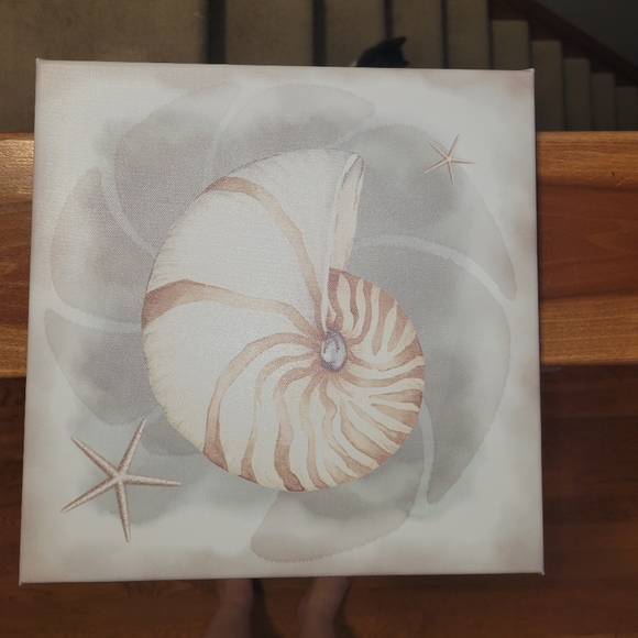 Shell picture - Picture 2 of 3